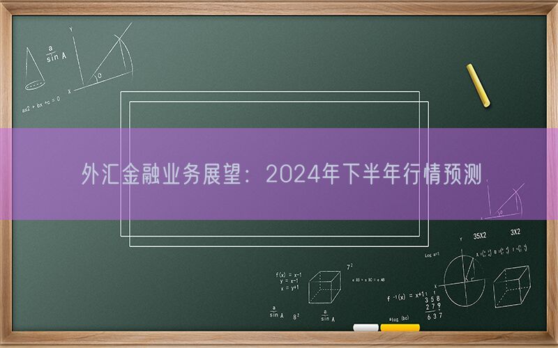 外汇金融业务展望：2024年下半年行情预测(图1)