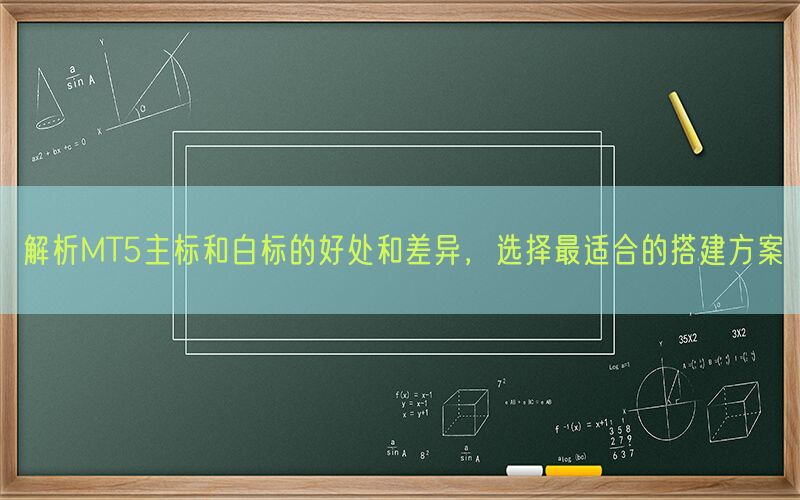 解析MT5主标和白标的好处和差异，选择最适合的搭建方案(图1)