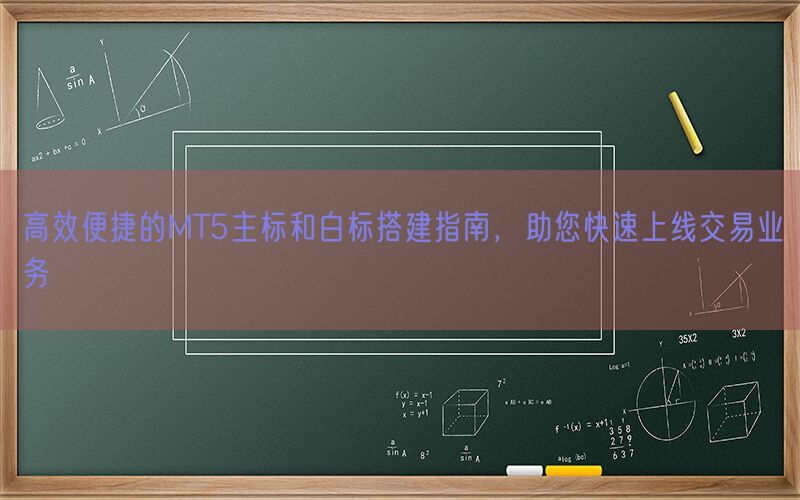 高效便捷的MT5主标和白标搭建指南，助您快速上线交易业务(图1)