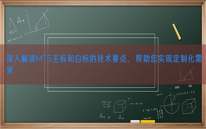 深入解读MT5主标和白标的技术要点，帮助您实现定制化需求(图1)