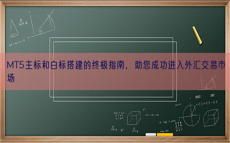 MT5主标和白标搭建的终极指南，助您成功进入外汇交易市场(图1)