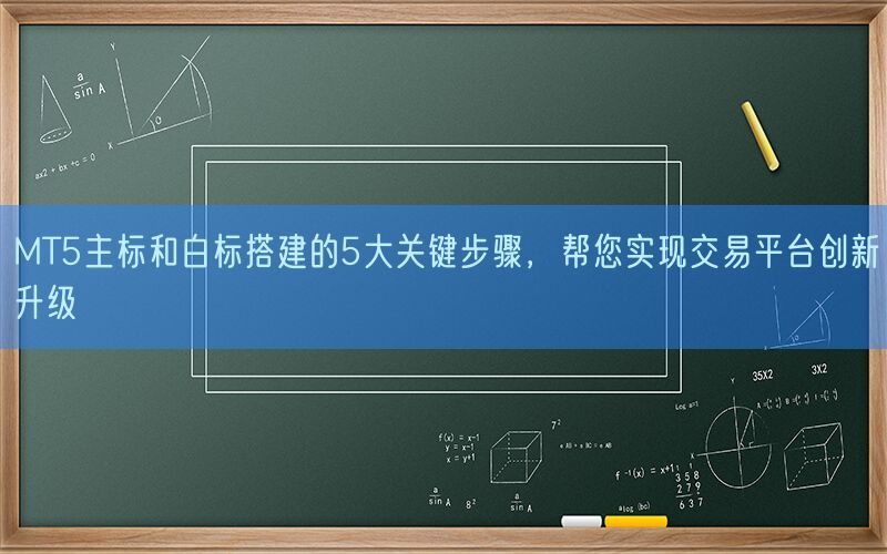 MT5主标和白标搭建的5大关键步骤，帮您实现交易平台创新升级(图1)