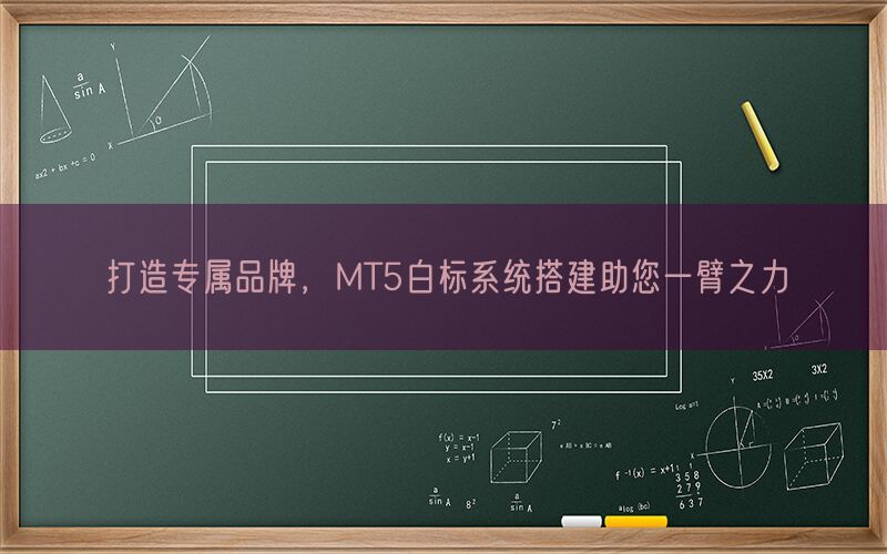 打造专属品牌，MT5白标系统搭建助您一臂之力(图1)