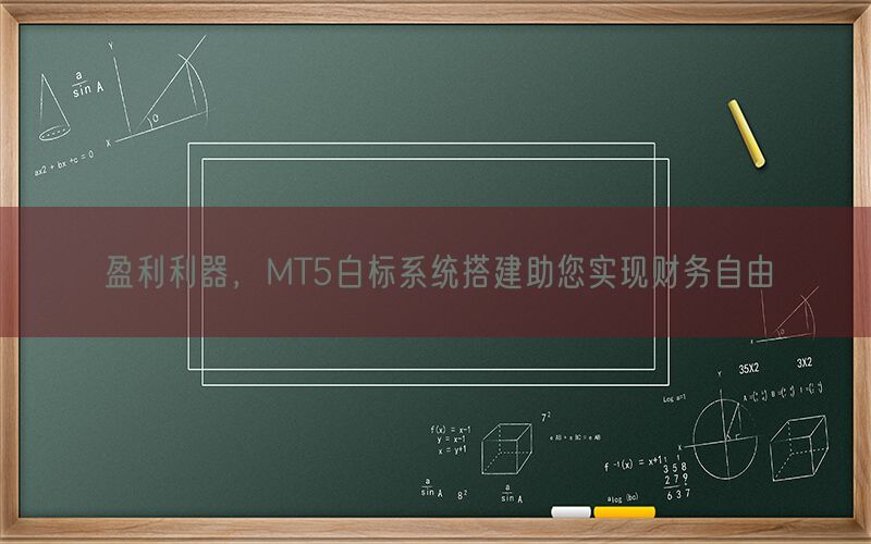 盈利利器，MT5白标系统搭建助您实现财务自由(图1)