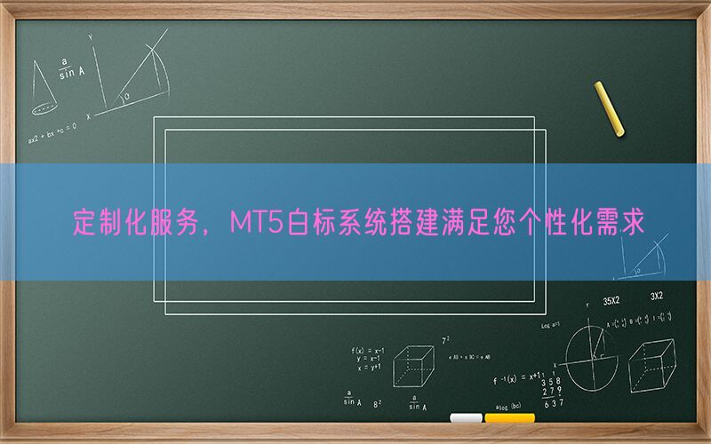 定制化服务，MT5白标系统搭建满足您个性化需求(图1)