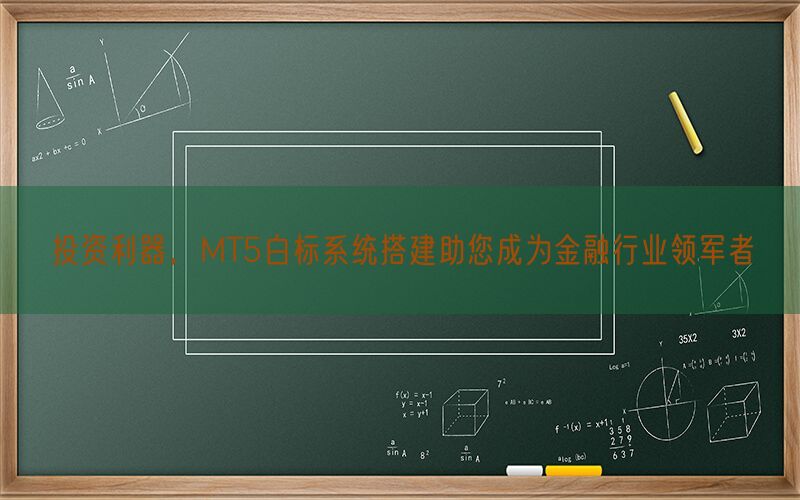 投资利器，MT5白标系统搭建助您成为金融行业领军者(图1)