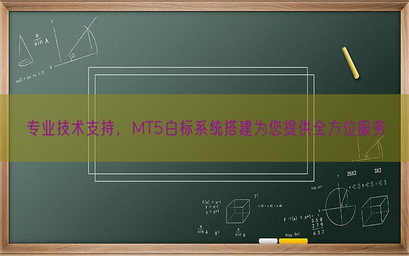 专业技术支持，MT5白标系统搭建为您提供全方位服务(图1)