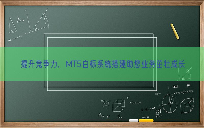 提升竞争力，MT5白标系统搭建助您业务茁壮成长(图1)