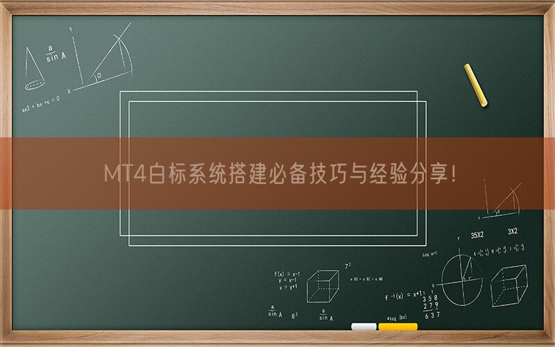 MT4白标系统搭建必备技巧与经验分享！(图1)