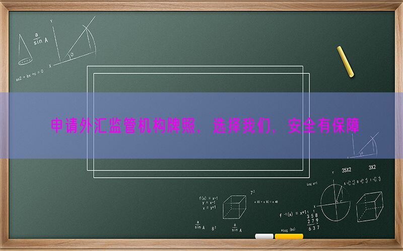 申请外汇监管机构牌照，选择我们，安全有保障(图1)