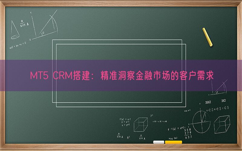 MT5 CRM搭建：精准洞察金融市场的客户需求(图1)