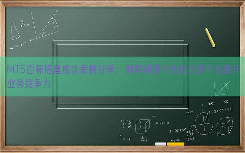 MT5白标搭建成功案例分享：如何利用个性化交易平台提升业务竞争力(图1)