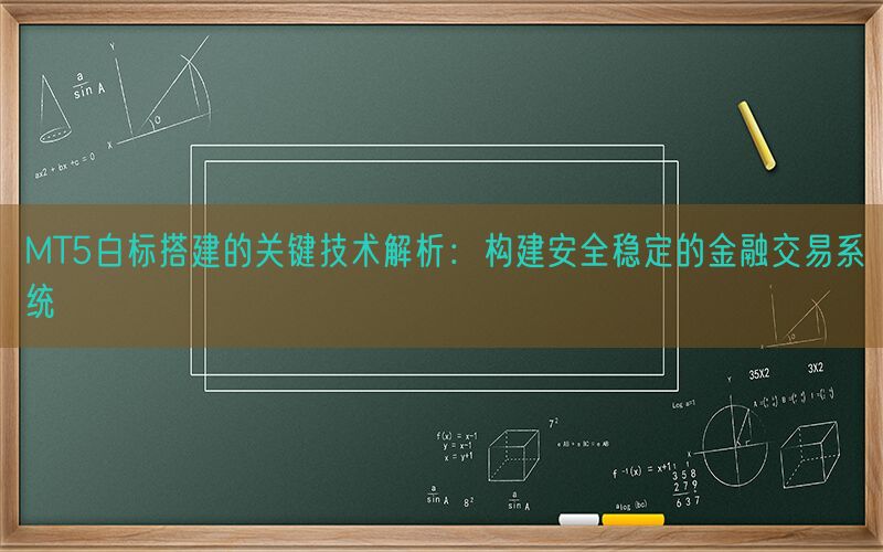 MT5白标搭建的关键技术解析：构建安全稳定的金融交易系统(图1)