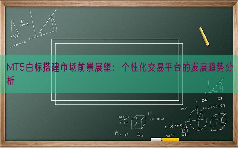 MT5白标搭建市场前景展望：个性化交易平台的发展趋势分析(图1)