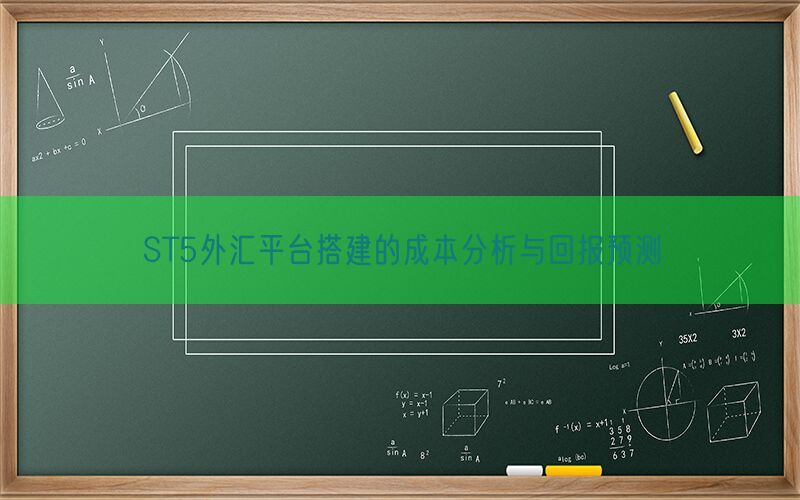 ST5外汇平台搭建的成本分析与回报预测(图1)