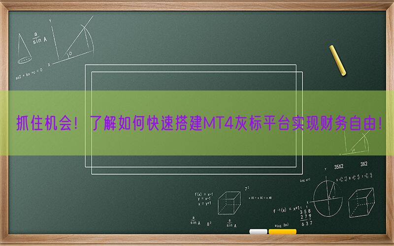 抓住机会！了解如何快速搭建MT4灰标平台实现财务自由！(图1)