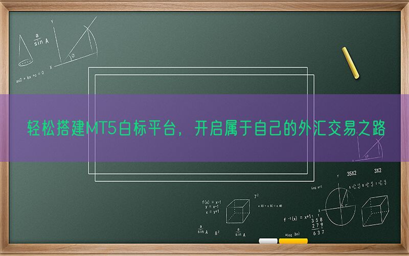 轻松搭建MT5白标平台，开启属于自己的外汇交易之路(图1)