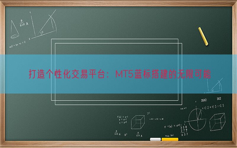 打造个性化交易平台：MT5蓝标搭建的无限可能(图1)