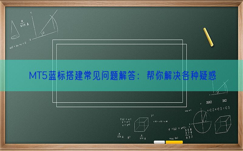 MT5蓝标搭建常见问题解答：帮你解决各种疑惑(图1)