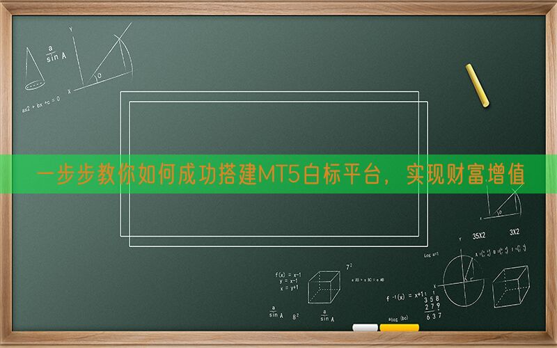 一步步教你如何成功搭建MT5白标平台，实现财富增值(图1)