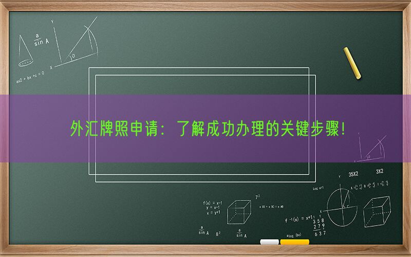 外汇牌照申请：了解成功办理的关键步骤！(图1)