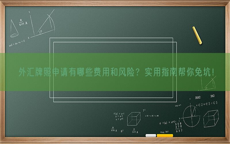 外汇牌照申请有哪些费用和风险？实用指南帮你免坑！(图1)