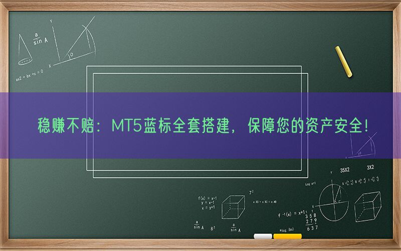 稳赚不赔：MT5蓝标全套搭建，保障您的资产安全！(图1)