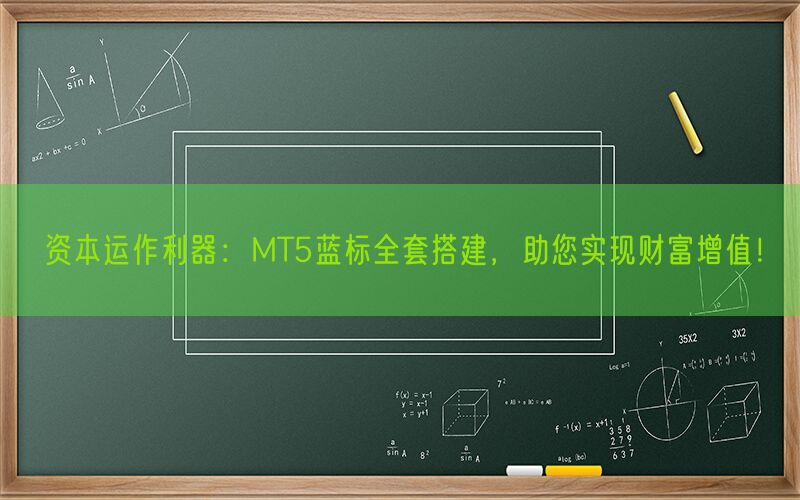 资本运作利器：MT5蓝标全套搭建，助您实现财富增值！(图1)