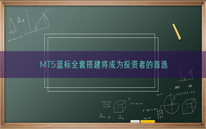 MT5蓝标全套搭建将成为投资者的首选(图1)