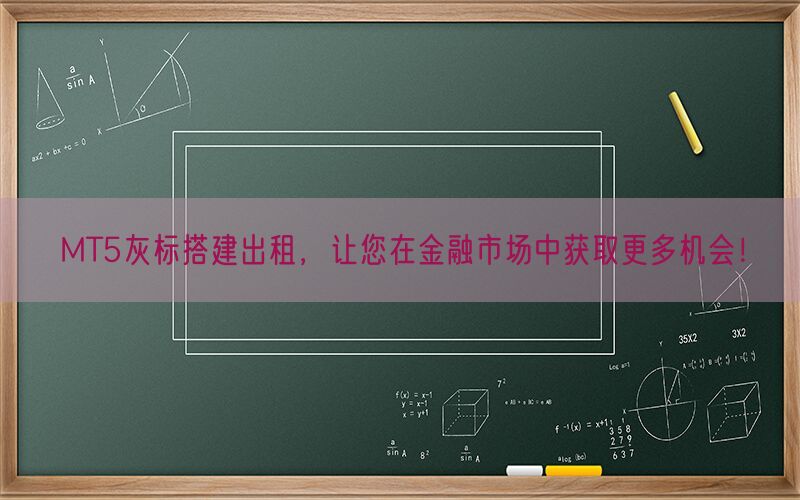 MT5灰标搭建出租，让您在金融市场中获取更多机会！(图1)