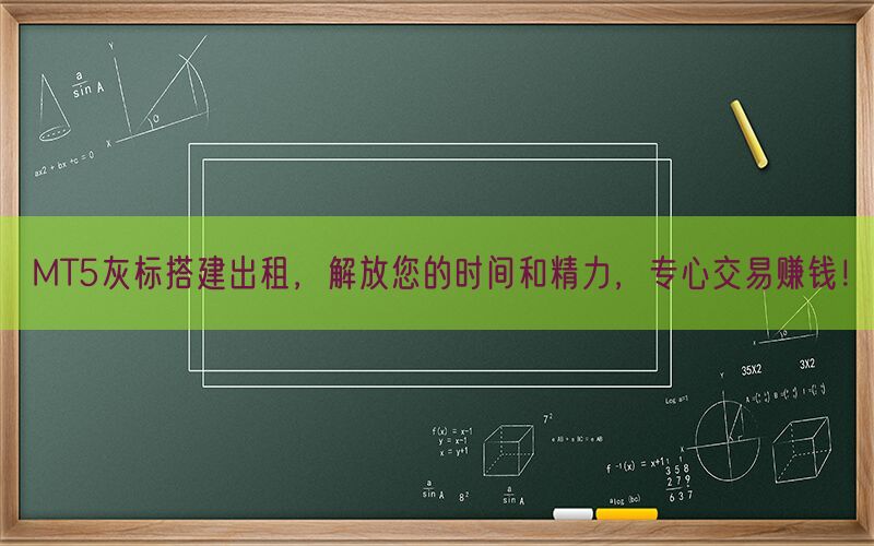 MT5灰标搭建出租，解放您的时间和精力，专心交易赚钱！(图1)