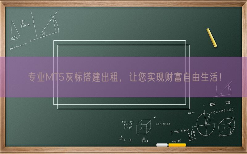 专业MT5灰标搭建出租，让您实现财富自由生活！(图1)