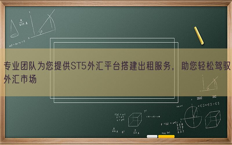 专业团队为您提供ST5外汇平台搭建出租服务，助您轻松驾驭外汇市场(图1)