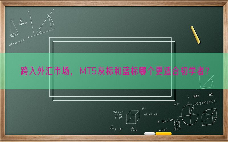 跨入外汇市场，MT5灰标和蓝标哪个更适合初学者？(图1)