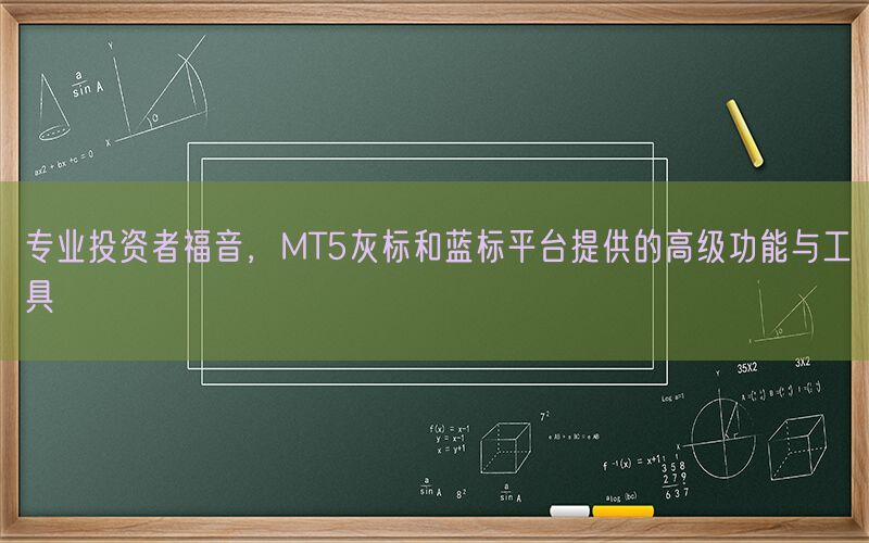 专业投资者福音，MT5灰标和蓝标平台提供的高级功能与工具(图1)