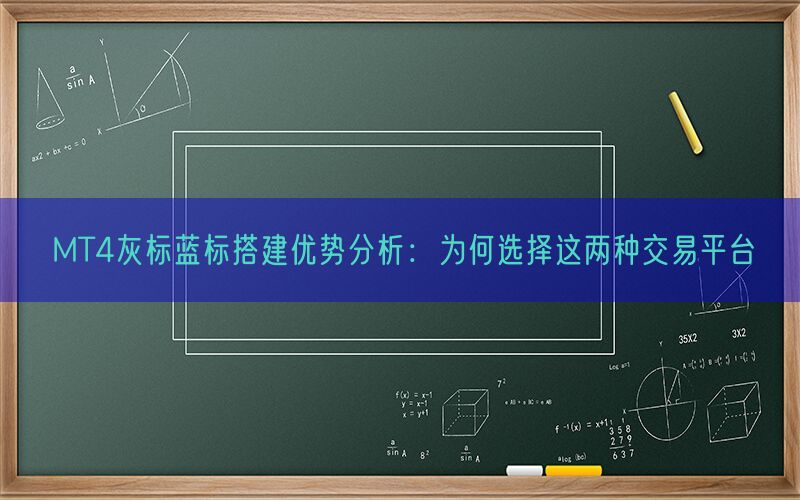 MT4灰标蓝标搭建优势分析：为何选择这两种交易平台(图1)