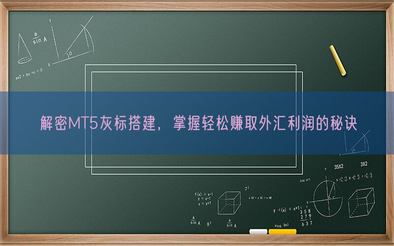 解密MT5灰标搭建，掌握轻松赚取外汇利润的秘诀(图1)