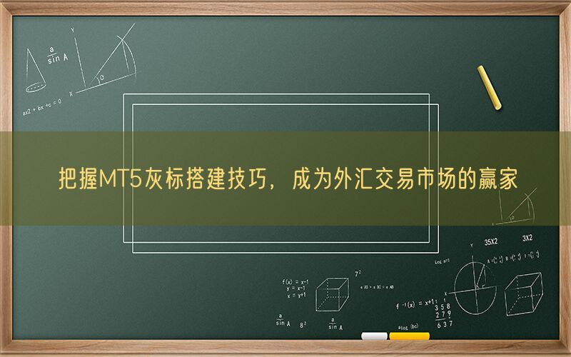 把握MT5灰标搭建技巧，成为外汇交易市场的赢家(图1)