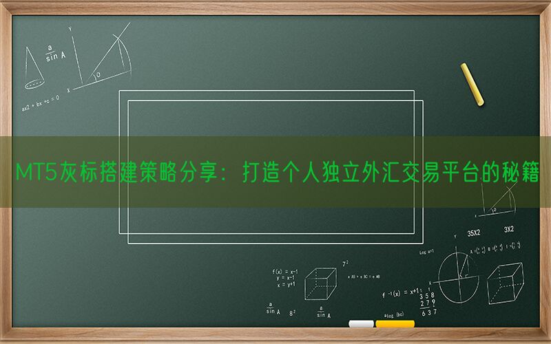 MT5灰标搭建策略分享：打造个人独立外汇交易平台的秘籍(图1)