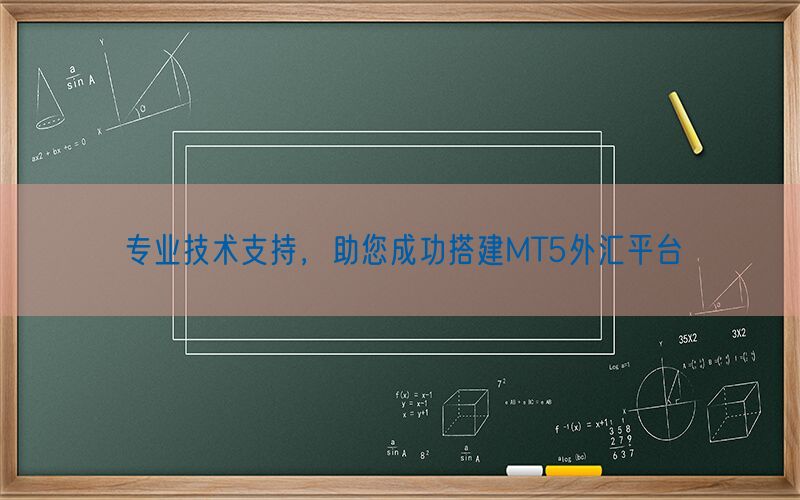 专业技术支持，助您成功搭建MT5外汇平台(图1)