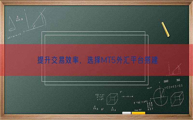 提升交易效率，选择MT5外汇平台搭建(图1)