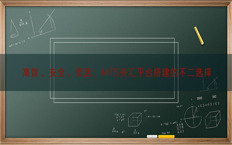 高效、安全、灵活：MT5外汇平台搭建的不二选择(图1)