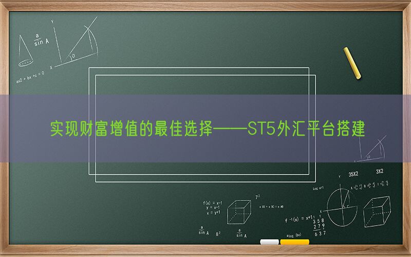 实现财富增值的最佳选择——ST5外汇平台搭建(图1)