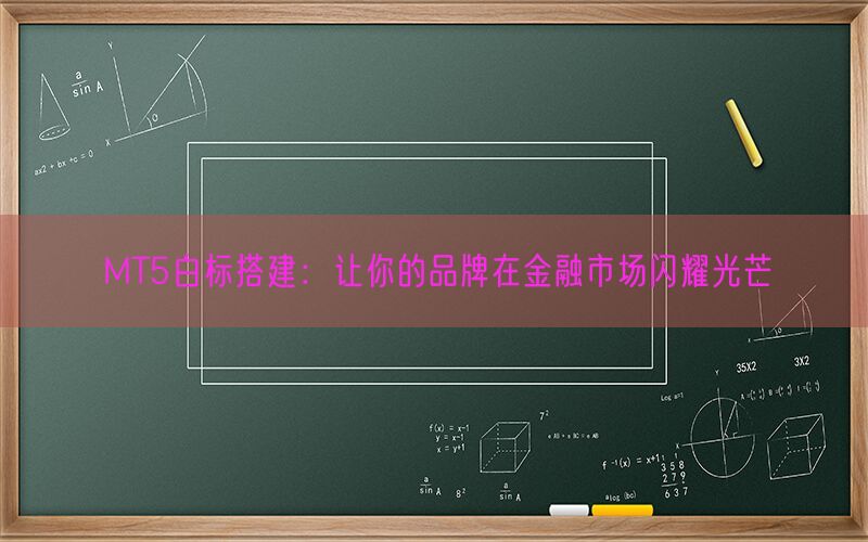 MT5白标搭建：让你的品牌在金融市场闪耀光芒(图1)