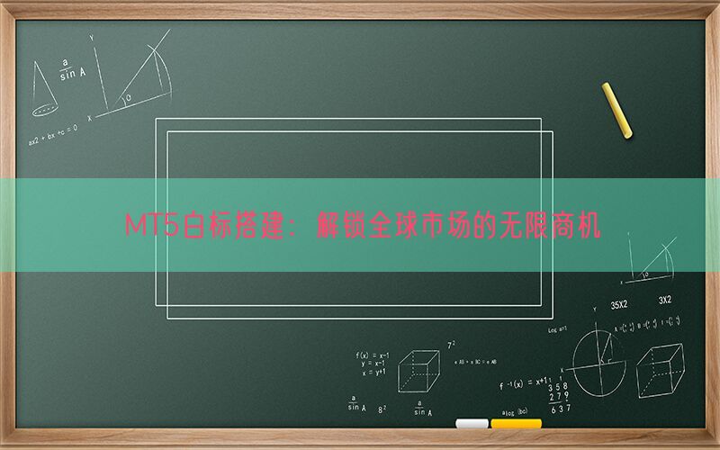 MT5白标搭建：解锁全球市场的无限商机(图1)