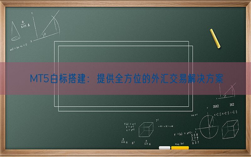 MT5白标搭建：提供全方位的外汇交易解决方案(图1)