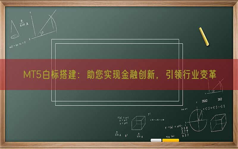 MT5白标搭建：助您实现金融创新，引领行业变革(图1)