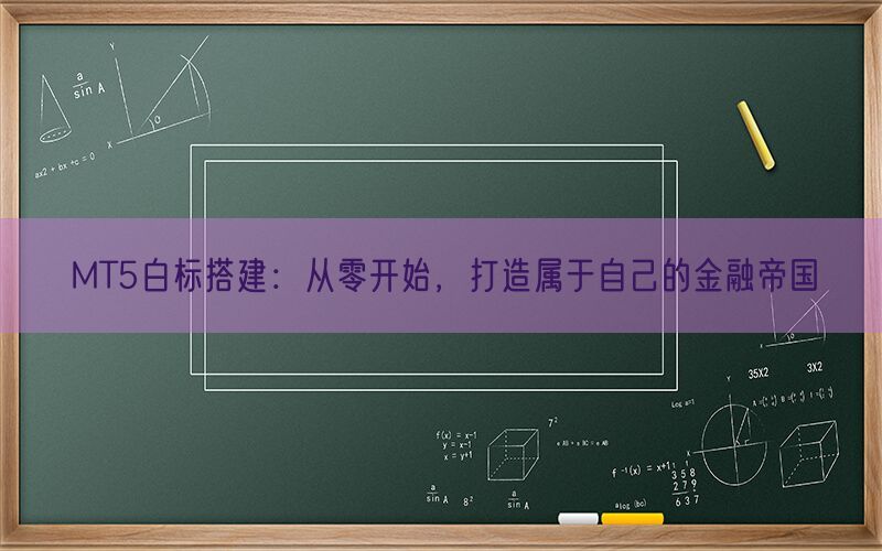 MT5白标搭建：从零开始，打造属于自己的金融帝国(图1)