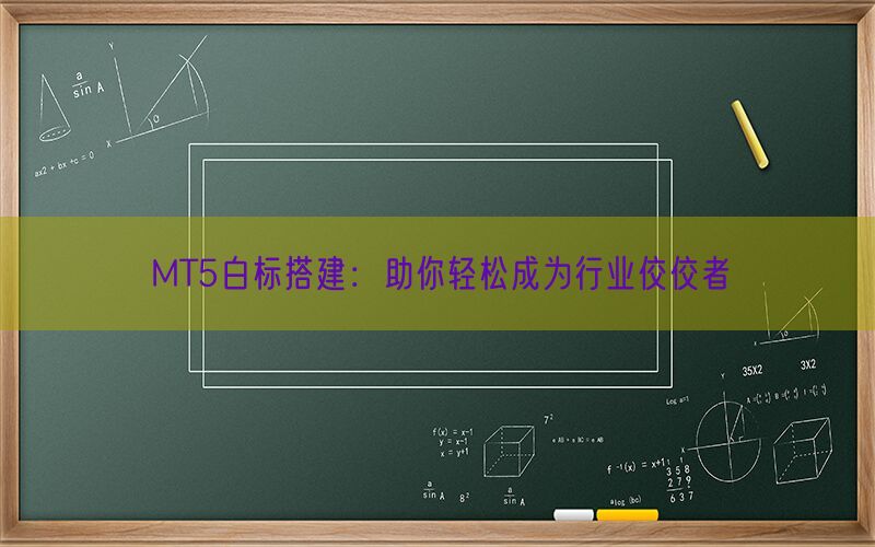 MT5白标搭建：助你轻松成为行业佼佼者(图1)