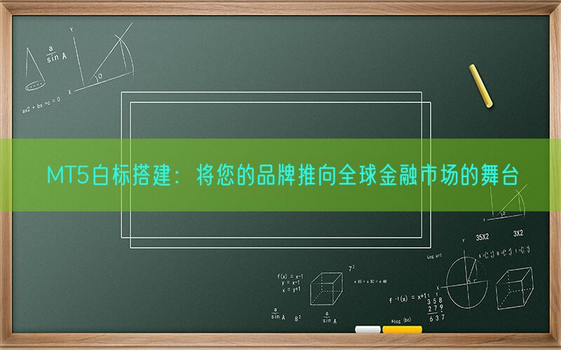 MT5白标搭建：将您的品牌推向全球金融市场的舞台(图1)